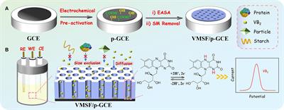 Simple fabrication of electrochemical sensor based on integration of dual signal amplification by the supporting electrode and modified nanochannel array for direct and sensitive detection of vitamin B2